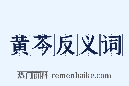 黄芩反义词是什么意思的图片